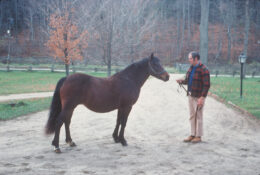 *Morning Dew with Jim Bailey in 1975 at Lynfields Farm in Vermont.
