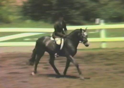 Chiltern Copa of Tower Hill video