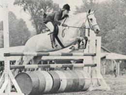 R.H.F. OHarazan (registered in Stud Book IV as Rose Hill's Oharazan), of Rose Hill Farm, won the Junior Hunter Championship of Vermont in 1973 after winning Junior Hunter Champion at all seven shows she competed in. At the time, she was a 10-year-old, 15-2 hand mare. OHarazan was by Tarzan out of Cullahara. She was purchased by Gilnocky Farm at age 6 in 1970.