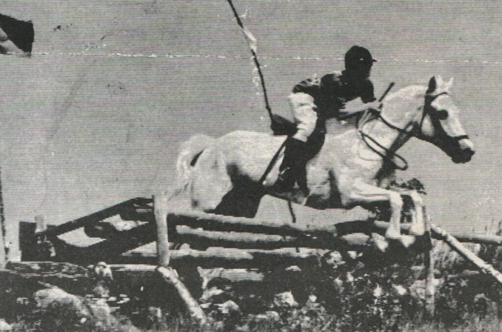 Flying Cloud, by Tooreen Laddie out of *Sun Cloud, won regional rallies for the Groton Pony Club many times. She happily participated in eventing, hunter trials, hunting, showing and everything else asked of her. She also had eight foals for Round Robin Farm from 1960 to 1976, all by An Tostal.