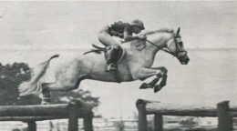 Karen Lende, with Connemara Erin's Shamrock, eventing around 1977.