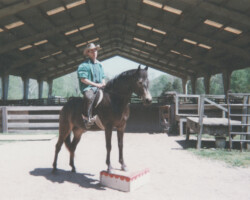 Kerrymor's Littlest Angel in 1997 with Terry McKenna. Kerrymor's Littlest Angel in 1997 with Terry McKenna.