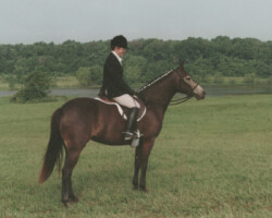 Kerrymor's Littlest Angel at a dressage show in 1998 at Bridlespur. Kerrymor's Littlest Angel at a dressage show in 1998 at Bridlespur.
