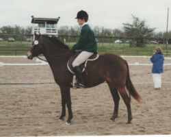 Kerrymor's Littlest Angel at her first dressage show in 1997. Kerrymor's Littlest Angel at her first dressage show in 1997.