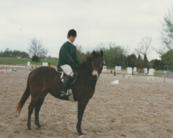Kerrymor's Littlest Angel at her first dressage show in 1997. Kerrymor's Littlest Angel at her first dressage show in 1997.