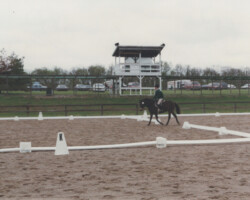 Kerrymor's Littlest Angel at her first dressage show in 1997. She won her first class. Kerrymor's Littlest Angel at her first dressage show in 1997. She won her first class.