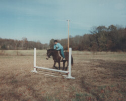 Kerrymor's Littlest Angel jumping in 1999. Kerrymor's Littlest Angel jumping in 1999.