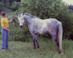 Gilnocky Carousel in 1980. Gilnocky Carousel in 1980.