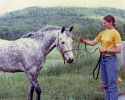 Gilnocky Carousel in 1980. Gilnocky Carousel in 1980.