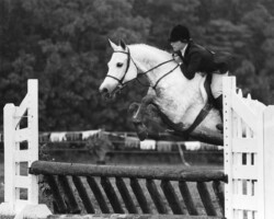 Gilnocky Carousel jumps a muddy course at Bridlespur in the early 1980s. Gilnocky Carousel jumps a muddy course at Bridlespur in the early 1980s.