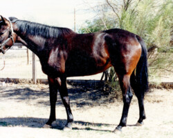 Canteloupe Island in 1988. Canteloupe Island in 1988.