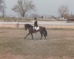 Kerrymor Finbarr in the late 1980s. Kerrymor Finbarr in the late 1980s.