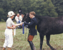 Kerrymor's Autumn Hope and Terry McKenna accept a ribbon from Carolyn McCollum at a Bridlespur horse show in the early 1980s.