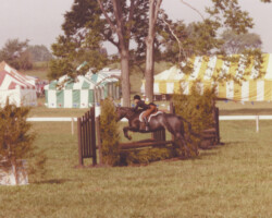 Kerrymor's Autumn Hope jumping with Terry McKenna in the early 1980s at an unknown location.