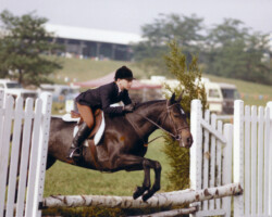 Kerrymor's Autumn Hope jumping with Terry McKenna in the early 1980s at an unknown location.