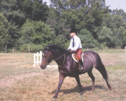 Kerrymor's Autumn Hope and Terry McKenna warm up for a class in the early 1980s at Bridlespur.