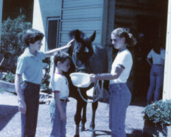 Kerrymor's Autumn Hope around 1980. Kerrymor's Autumn Hope around 1980.
