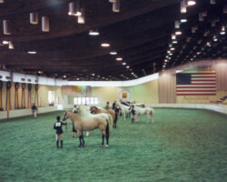 Kerry Gold in a class in 1978 at the St Louis National Charity Horse Show. Kerry Gold in a class in 1978 at the St Louis National Charity Horse Show.
