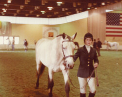 Kerry Gold walking in a class in 1978 at the St Louis National Charity Horse Show. Kerry Gold in a class in 1978 at the St Louis National Charity Horse Show.
