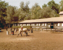 Kerry Gold with Terry McKenna aboard at Otis Brown Stables in Frontenac, Missouri. Kerry Gold with Terry McKenna aboard at Otis Brown Stables in Frontenac, Missouri.