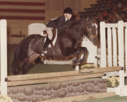 Kerrymor's Autumn Hope and Terry McKenna in 1984 at the St. Louis National Charity Horse Show.