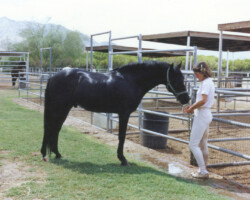 Lynfields Kiltuck,a black Connemara stallion, and Joan McKenna Jr. in 1990. Lynfields Kiltuck,a black Connemara stallion, and Joan McKenna Jr. in 1990.