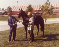 Lynfields Kiltuck and Otis Brown are interviewed by reporter Al Wiman in 1978 at the St Louis National Charity Horse Show. Lynfields Kiltuck and Otis Brown are interviewed by reporter Al Wiman in 1978 at the St Louis National Charity Horse Show.