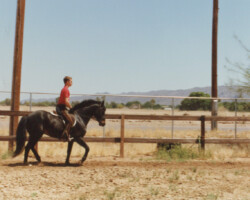 Lynfields Kiltuck and Terry McKenna school in the late 1980s. Lynfields Kiltuck and Terry McKenna school in the late 1980s.