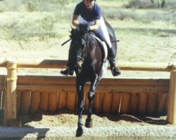 Lynfields Kiltuck, a black Connemara pony stallion, jumps a water jump in 1990. Lynfields Kiltuck, a black Connemara pony stallion, jumps a water jump in 1990.