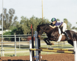 Lynfields Kiltuck, a black Connemara pony stallion, warms up at a Santa Rita combined training event in 1990. Lynfields Kiltuck, a black Connemara pony stallion, warms up at a Santa Rita combined training event in 1990.