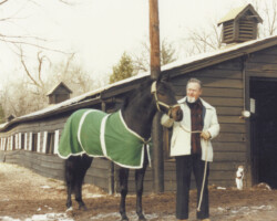 Lynfields Kiltuck, a black Connemara stallion, at age 3 in 1978 with Omar Lennon at Otis Brown Stables in Frontenac, Missouri. Lynfields Kiltuck, a black Connemara stallion, at age 3 in 1978 with Omar Lennon at Otis Brown Stables in Frontenac, Missouri.