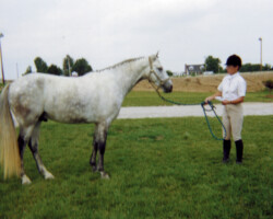 Kerrymor's Darby O'Gill poses at the National Equestrian Center in 2000.