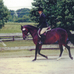Heaven’s Ridge Mistykil Sunset. (Photo by Kathy Manyo) Heaven’s Ridge Mistykil Sunset. (Photo by Kathy Manyo)