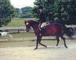 Heaven’s Ridge Mistykil Sunset. (Photo by Kathy Manyo) Heaven’s Ridge Mistykil Sunset. (Photo by Kathy Manyo)