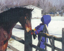 Heaven’s Ridge Mistykil Sunset. (Photo by Kathy Manyo) Heaven’s Ridge Mistykil Sunset. (Photo by Kathy Manyo)