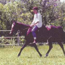 Heaven’s Ridge Mistykil Sunset. (Photo by Kathy Manyo) Heaven’s Ridge Mistykil Sunset. (Photo by Kathy Manyo)