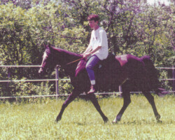 Heaven’s Ridge Mistykil Sunset. (Photo by Kathy Manyo) Heaven’s Ridge Mistykil Sunset. (Photo by Kathy Manyo)