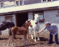 Tower Hill's Megan as a foal in 1980. Tower Hill's Megan as a foal in 1980.