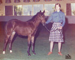 Tower Hill's Megan at the St Louis National Charity Horse Show.