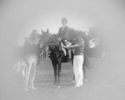Round Robin's Easter Bonnet in the 1970s at a Bridlespur show. Round Robin's Easter Bonnet in the 1970s at a Bridlespur show.