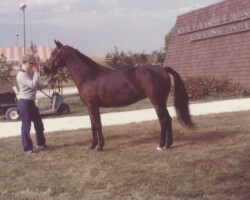 Round Robin's Easter Bonnet in 1978 at the St. Louis National Charity Horse Show. Round Robin's Easter Bonnet in 1978 at the St. Louis National Charity Horse Show.