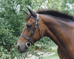 Round Robin's Easter Bonnet in 1986. Round Robin's Easter Bonnet in 1986.