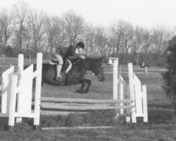 Round Robin's Easter Bonnet jumps at a Bridlespur show in the 1970s. Round Robin's Easter Bonnet jumps at a Bridlespur show in the 1970s.