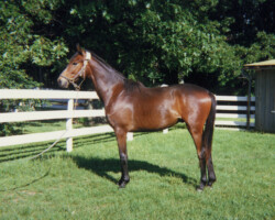 Kerrymor Prime Time in 1986 or 1987 in Virginia.
