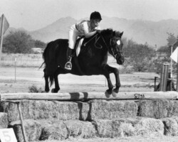 Kerrymor Spotlight competes in cross country at a combined event in the mid-1980s at Santa Rita Stables.