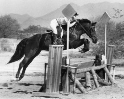 Kerrymor Spotlight competes in cross country at a combined event in the mid-1980s at Santa Rita Stables. Kerrymor Spotlight competes in cross country at a combined event in the mid-1980s at Santa Rita Stables.
