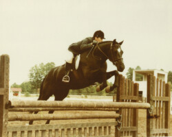 Kerrymor Spotlight competes in a hunter class at a horse show in 1986 in Flagstaff, Arizona.