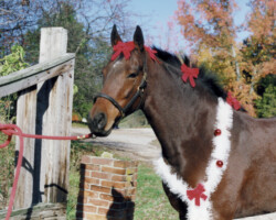 Kerrymor's True Colors dresses for a Christmas card in the mid-1990s.