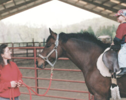 Kerrymor's True Colors with Joan McKenna Jr. and a visitor. Kerrymor's True Colors with Joan McKenna Jr. and a visitor.