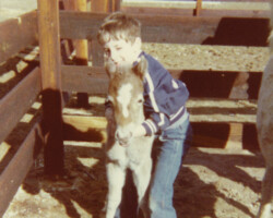 Kerrymor's Surprise as a tiny foal with Terry McKenna in 1978. Kerrymor's Surprise as a tiny foal with Terry McKenna in 1978.